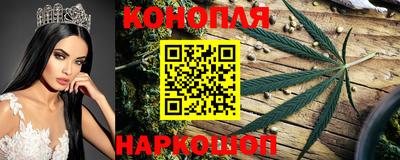 ГАЛЛЮЦИНОГЕННЫЕ ГРИБЫ Малгобек