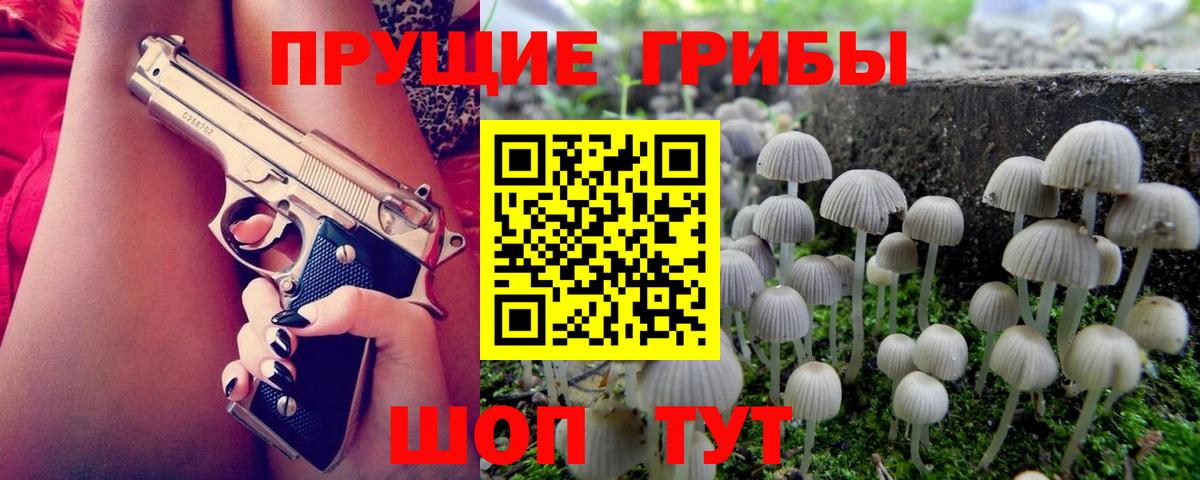 Галлюциногенные грибы MAGIC MUSHROOMS  Вход с VPN  Дзержинский 